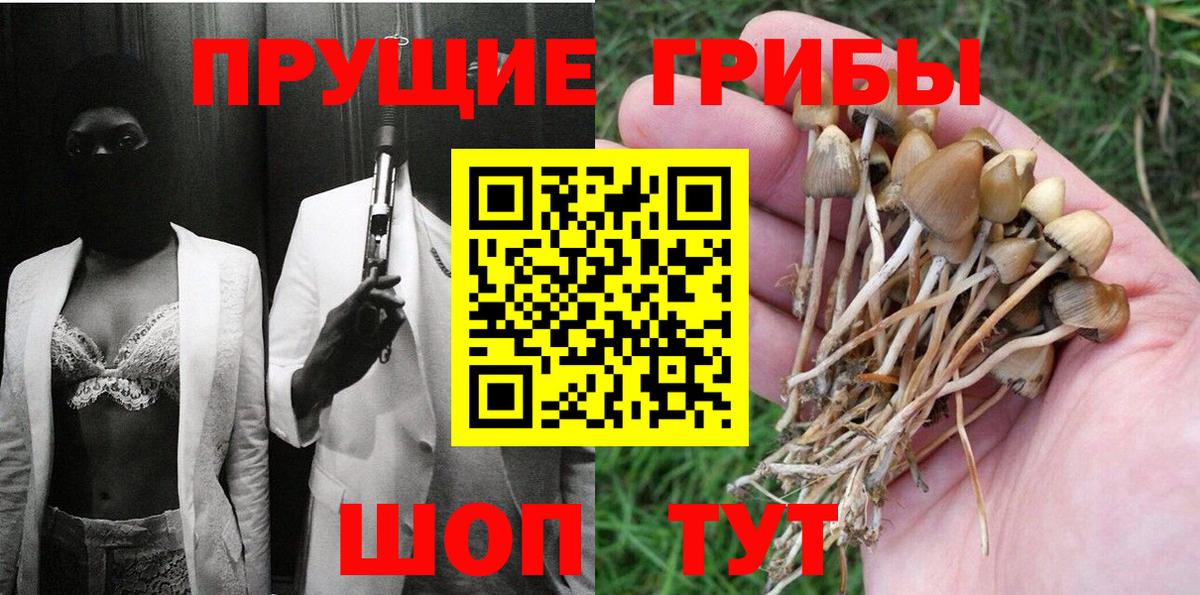 Тавда  Галлюциногенные грибы Cubensis  Вход с VPN 