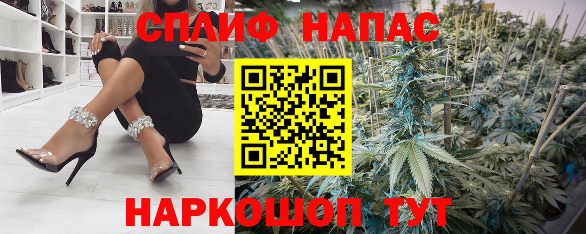 Конопля конопля Тавда